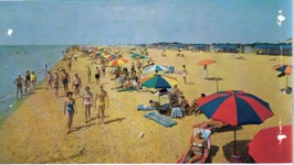 spiaggia pineda.jpg